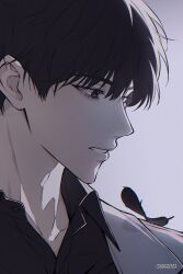 Post 6144160