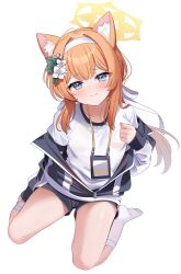 Post 5561033