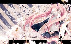 Post 810853