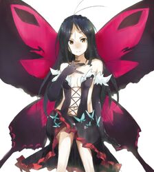 Post 810269