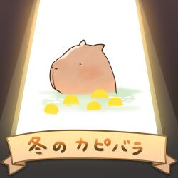 Post 6464075