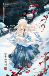 Post 6496125
