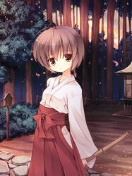 Post 820605