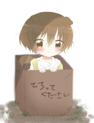Post 6516273