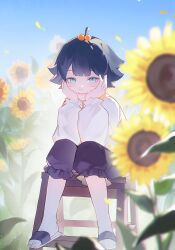 Post 6570335