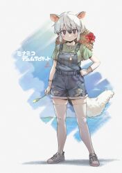 Post 6637366