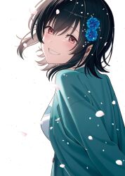 Post 6637239