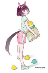 Post 6656006