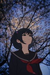 Post 6654768