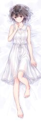 Post 6701576