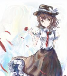 Post 6760955
