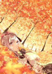 Post 6800736