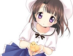 Post 837001