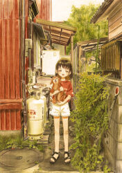 Post 6858127