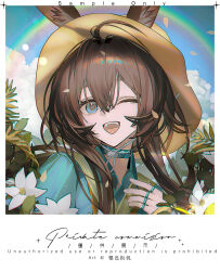 Post 6857916