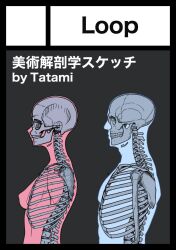 Post 6854684