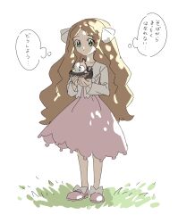 Post 6855937