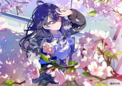 Post 6955363