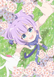 Post 6939242