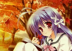 Post 847035