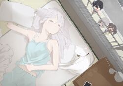 Post 7012502