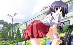 Post 847915