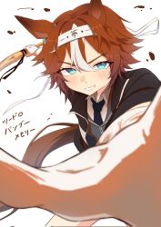 Post 7049574