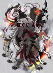 Post 7046741