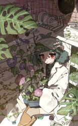 Post 7096658