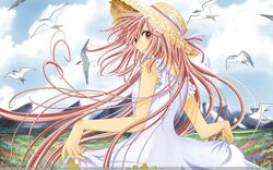 Post 850417