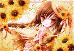 Post 851475
