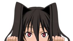 Post 853001