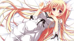 Post 868258