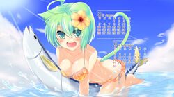 Post 874904