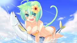 Post 879482