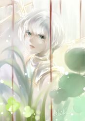 Post 887953