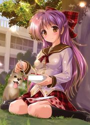 Post 890180