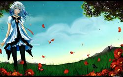 Post 890206