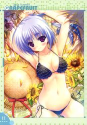 Post 891835