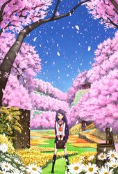 Post 894739