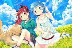 Post 894450
