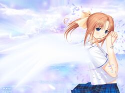 Post 88681