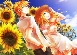 Post 895527