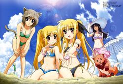 Post 899078