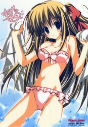 Post 900659