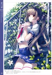 Post 900890
