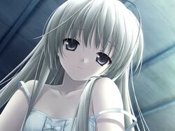 Post 8334