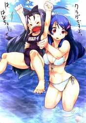 Post 907416