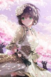 Post 937077