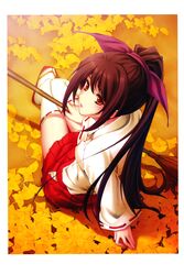 Post 942767